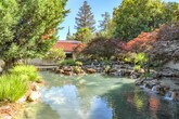 Located at 100 Buckingham Dr in Santa Clara, California, this expansive single-level outdoor space offers a meticulously designed landscape that combines natural beauty with thoughtful amenity planning. At its centerpiece is a large, naturalistic pond framed by smooth boulders and an abundance of aquatic and shoreline plantings, creating a tranquil, park-like atmosphere. Towering mature trees — including striking redwoods and Japanese maples displaying vibrant seasonal foliage — provide generous shade and a sense of enclosure, giving the space a private, secluded character under the open California sky. A broad, gently curving paved walkway winds through the grounds, flanked by railing and accented with low-profile pathway lighting. Carefully curated planting beds feature ornamental grasses, flowering shrubs, and ground cover mulched in dark bark, contributing to the polished, well-maintained aesthetic. A dedicated seating area furnished with bold red chairs offers a striking focal point beside the pond, ideal for gathering and relaxation. Additional seating is distributed along the walkway, encouraging leisurely strolls and quiet moments throughout the grounds. A pool or spa area is also visible along one edge of the path, further enhancing the recreational appeal of this remarkable outdoor environment.