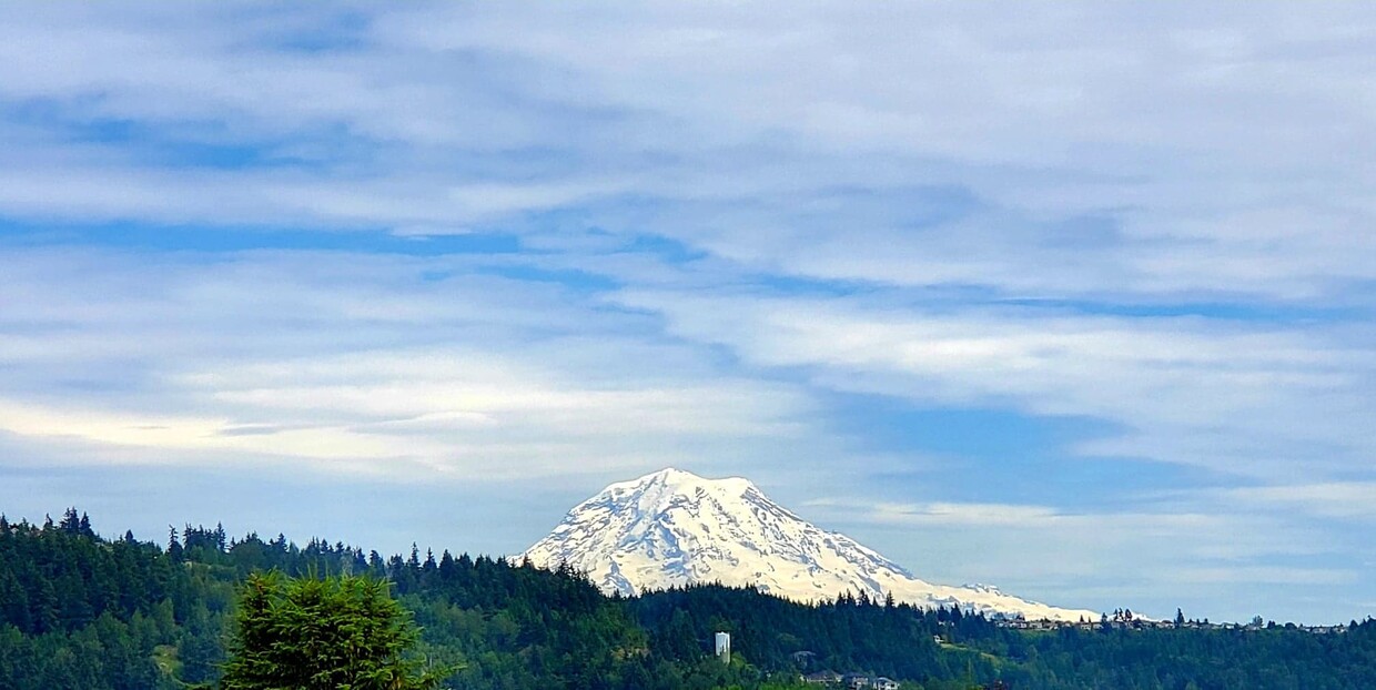 Mt. Rainier Views! - 6213 Parker Rd E