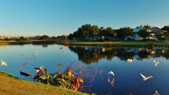 Foto del edificio - 934 Westpark Dr