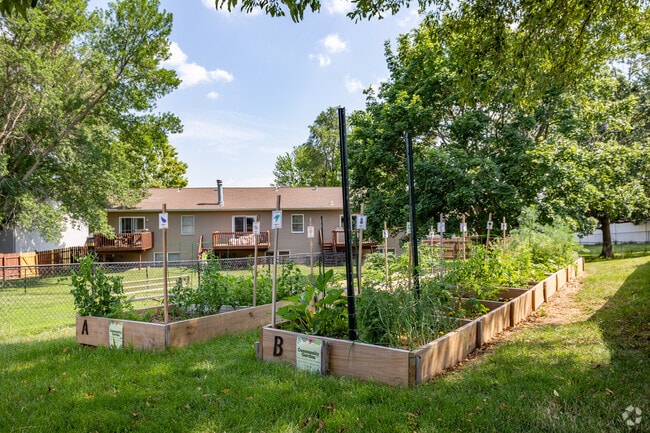 Community Garden - The Hampton at Coral Ridge