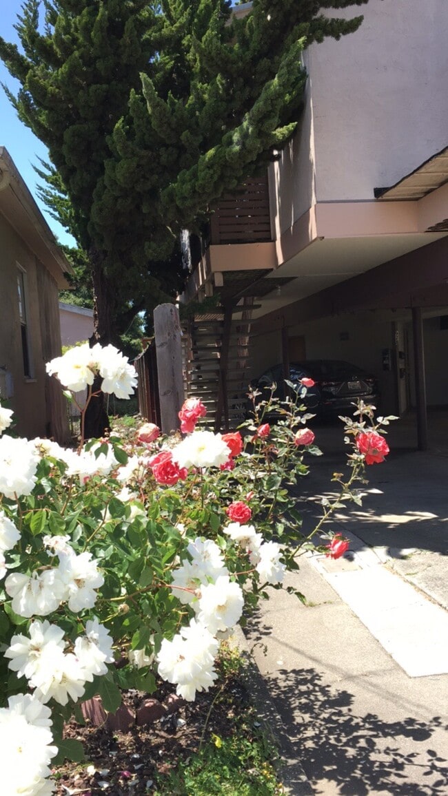 Building Photo - 928 Adams St