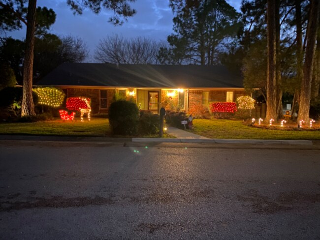 Foto del edificio - 2300 Green Oaks St