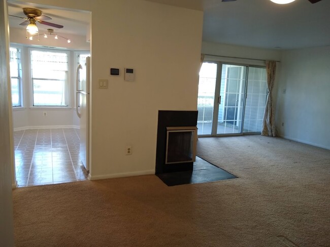 Fire Place - 110 Lowell Ct