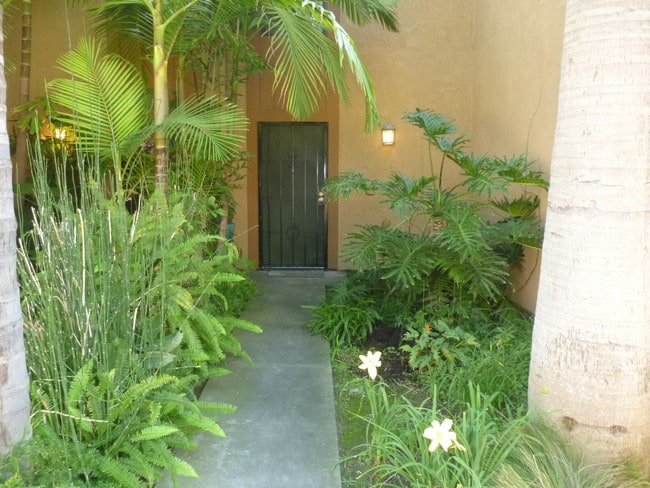 Foto del edificio - 2286 Pacific Ave