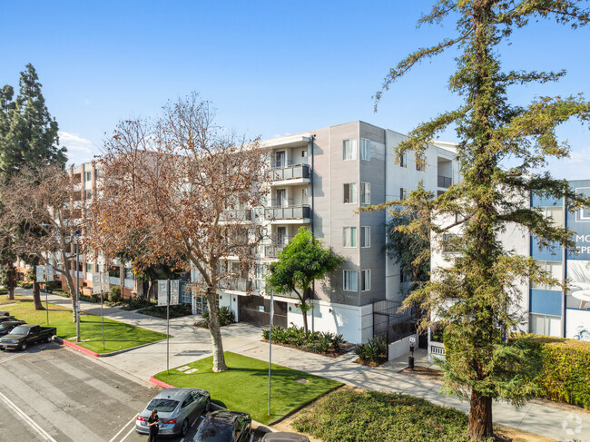 Primary View - Plaza at Lafayette