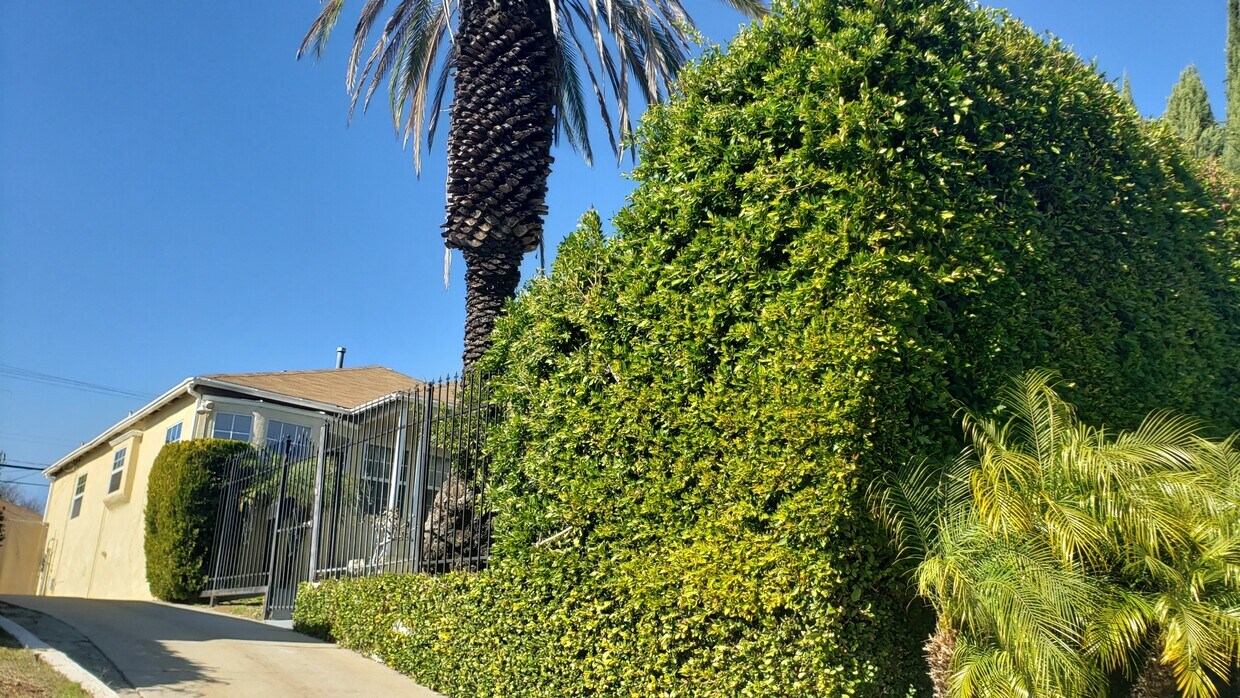 Foto principal - 1715 S Fairfax Ave