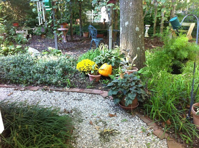 Backyard Path to Door - 414 Metropolitan Blvd