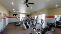 This single-floor fitness center offers a dedicated space for cardio-focused workouts, outfitted with a comprehensive selection of exercise equipment. The room houses multiple treadmills, elliptical machines, and stationary bikes, providing users with a range of cardio training options. Two ceiling fans are mounted overhead, working in conjunction with recessed lighting to keep the space comfortable and well-lit. A distinctive terracotta-toned horizontal accent stripe runs along the perimeter walls, adding a touch of visual interest against the neutral beige backdrop. Multiple windows allow natural light to fill the room, creating an open and energizing atmosphere. A wall-mounted flat-screen television is positioned for easy viewing during workouts. The flooring features durable carpet suited for a fitness environment, and a clearly marked emergency exit ensures safety and accessibility. The overall layout is thoughtfully arranged to maximize floor space while accommodating multiple users simultaneously, making this fitness center a functional and practical facility for daily exercise routines.