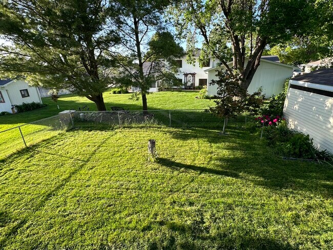Back yard - 7 W 44th St