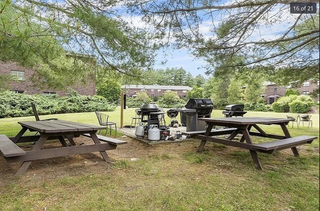 Zona de barbacoa - 23 Spencer Rd
