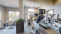 Located at 11701 Antonia Way in Louisville, Kentucky, this fitness center is a thoughtfully designed, single-floor facility offering a comprehensive workout environment. The space features soaring ceilings with recessed lighting and pendant fixtures, creating a bright and energizing atmosphere throughout.

The cardio area is well-appointed with multiple elliptical trainers, treadmills, and cycling bikes arranged to maximize floor space and user comfort. Patterned carpet flooring extends throughout, providing a clean and finished aesthetic. Large windows along multiple walls allow generous amounts of natural light to flood the interior, offering pleasant outdoor views of the surrounding greenery.

The strength training section includes a full cable and functional trainer machine, a colorful medicine ball rack with a full range of weighted options, and additional weight equipment to support varied workout routines. Oversized floor-to-ceiling mirrors line one wall, enhancing the sense of space and allowing users to monitor their form during exercise.

Decorative touches such as potted plants, framed artwork, and upholstered benches with storage shelving add a refined, welcoming feel that sets this facility apart. Ceiling fans provide additional ventilation and comfort. The overall design balances functionality with an upscale aesthetic, making it a well-rounded destination for fitness enthusiasts.