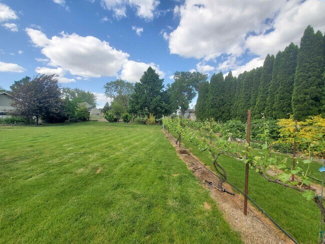 Building Photo - Pet friendly, avail July 1