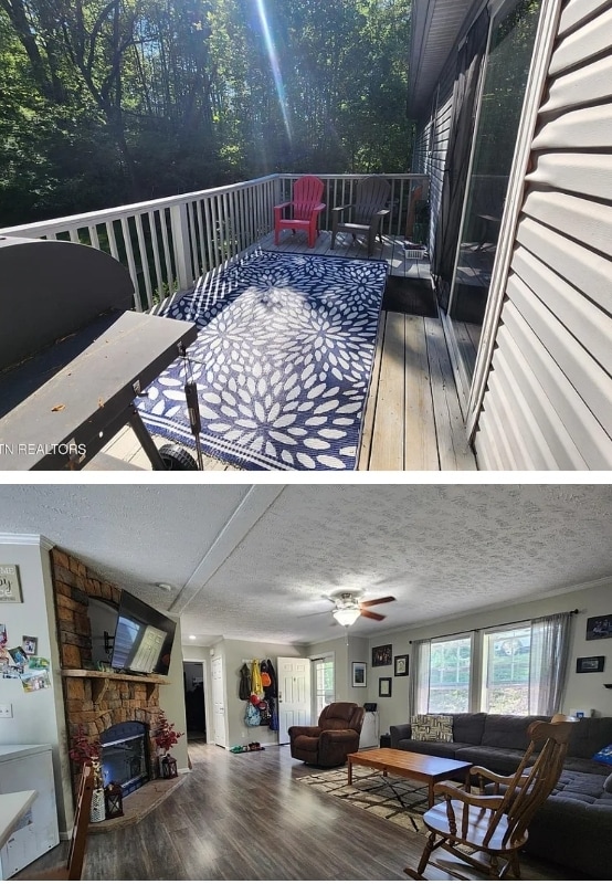Foto del edificio - 739 Peterson Ln