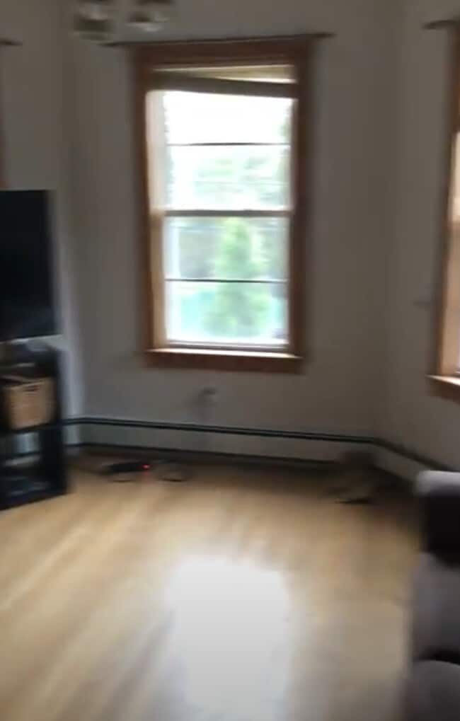 Building Photo - 257 Savin Hill Ave