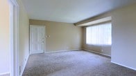 This single-floor residential space offers a clean, functional layout designed for comfortable everyday living. The main living area is finished with wall-to-wall plush carpeting in a neutral tone, providing a soft and inviting underfoot feel. Warm beige walls create a cohesive, understated palette throughout the space, complementing the bright white ceiling and white trim details.

A large window fitted with vertical blinds allows an abundance of natural light to fill the room, enhancing its open and airy character. The window serves as a key architectural feature, offering both light control and a connection to the outdoors. A classic six-panel white interior door adds a traditional touch to the space, contributing to the overall clean and simple aesthetic.

Subtle architectural detailing, including a beam accent along the ceiling, adds a layer of visual interest without disrupting the room's streamlined feel. Electrical outlets are conveniently positioned along the baseboards, reflecting practical, everyday functionality. The overall ambiance of the space is calm and neutral, providing a versatile canvas well-suited for a variety of interior styles and furnishing arrangements.