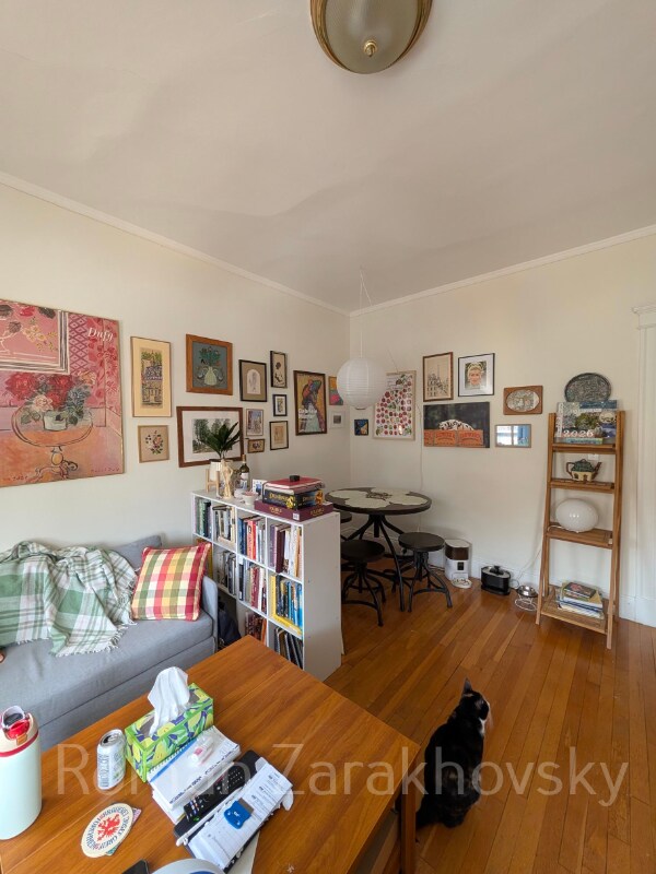 Photo - 14 Orkney Rd Apartment