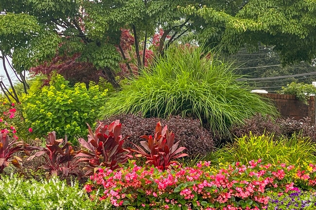 Beauty is can be found all over Woodbury.