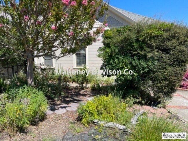 Building Photo - Charming Victorian triplex close to downto...