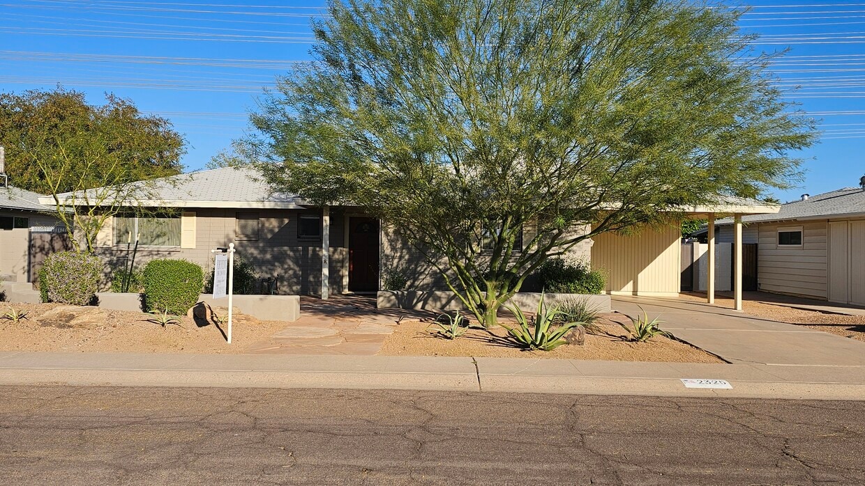 Photo - 2325 N 66th St (Scottsdale, AZ)