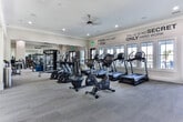 Located at 1600 E Samford Ave in Auburn, Alabama, this single-floor fitness center is a comprehensive, thoughtfully designed facility built to support a full range of workout routines. The space is organized into distinct training zones, each outfitted with professional-grade TRUE brand equipment. The cardio area features a row of treadmills, ellipticals, and stationary bikes positioned alongside a generous bank of windows that flood the room with natural light and offer outdoor views, creating an energizing atmosphere for endurance training. A ceiling fan overhead adds comfort during intense sessions. The strength training zone is equally well-appointed, housing a multi-functional cable machine, adjustable weight benches, medicine ball racks, and a comprehensive dumbbell rack with a full range of weights. Large floor-to-ceiling mirrors line the walls throughout, enhancing the sense of openness and allowing users to monitor their form. A quieter secondary area provides additional space for isolated strength machines and free weights, bathed in sunlight from multiple windows. Motivational typography decals — including phrases like "Don't Just Wish For It, Work For It" and "There Is No Secret, Only Hard Work" — are displayed prominently across the walls, reinforcing an encouraging environment. The neutral-toned carpet flooring, recessed lighting, crown molding, and clean white trim give the facility a polished, upscale feel throughout.