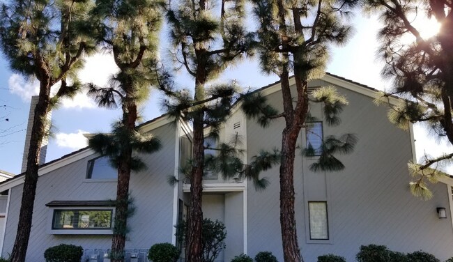 Building Photo - 1512 Bruinbark Ln