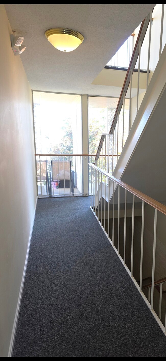 Hallway to Front door - 3115 Patrick Henry Dr