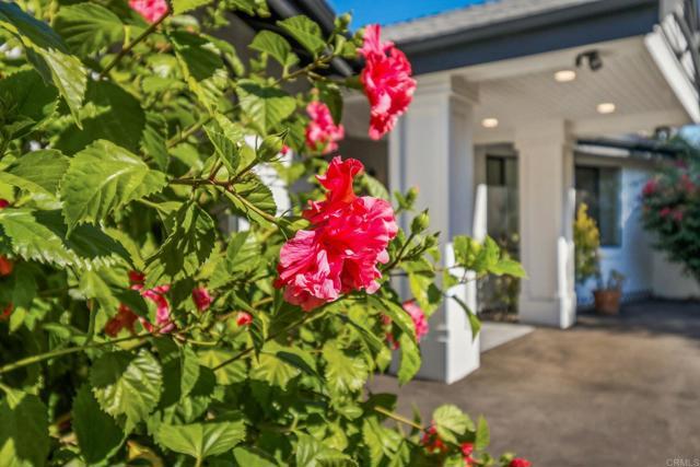 Foto del edificio - 1051 Via Rancho Pkwy