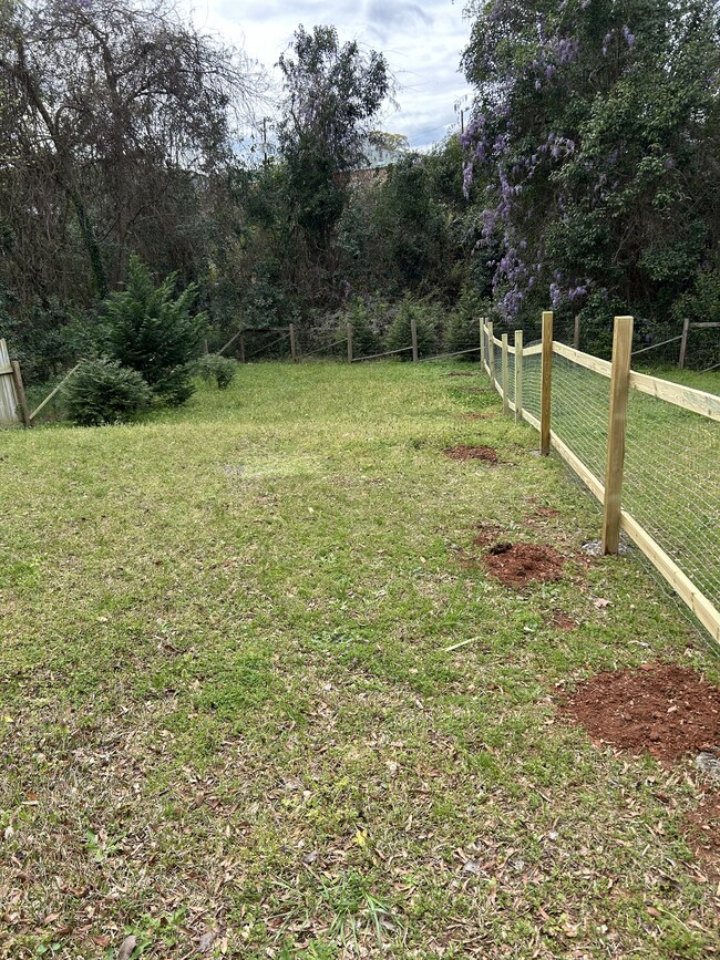 Back yard fenced - 404 S Green St