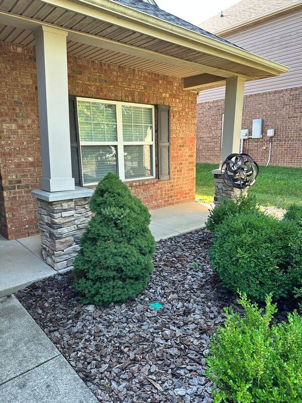 Building Photo - 9120 Carissa Dr