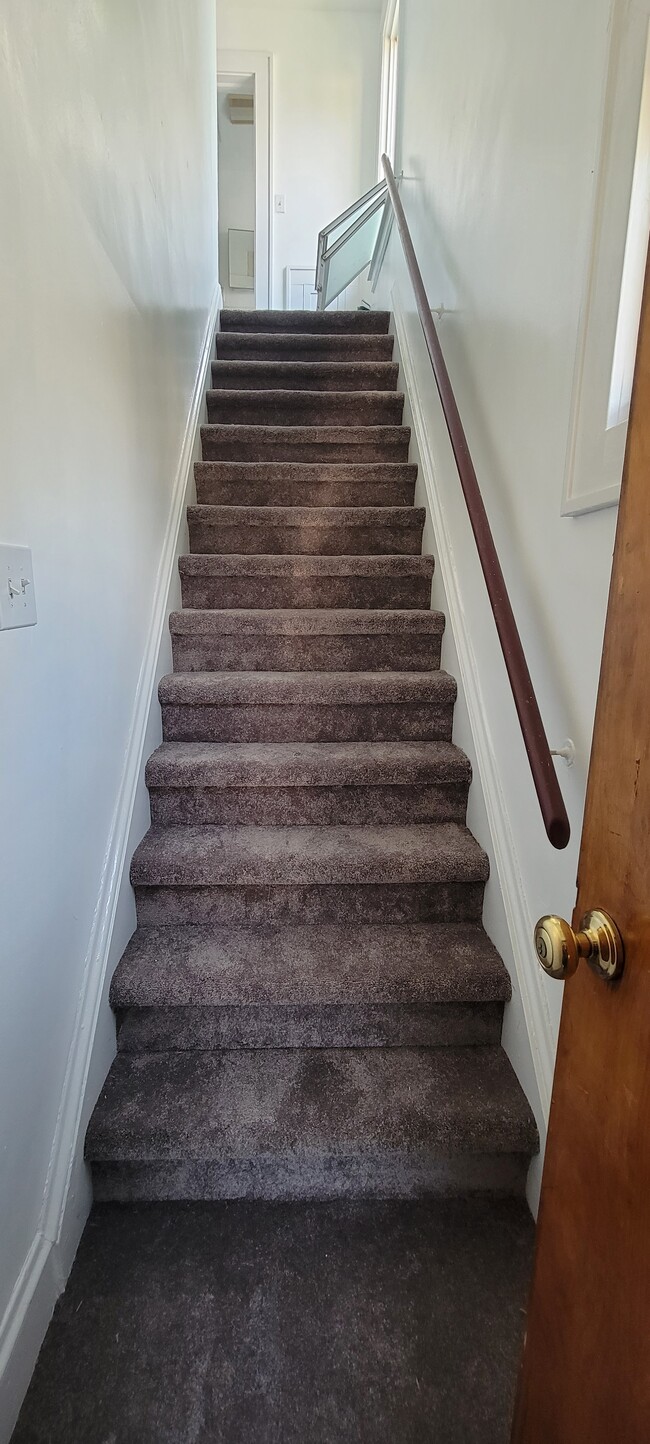 Fresh carpeting throughout - 684 Chestnut Ave