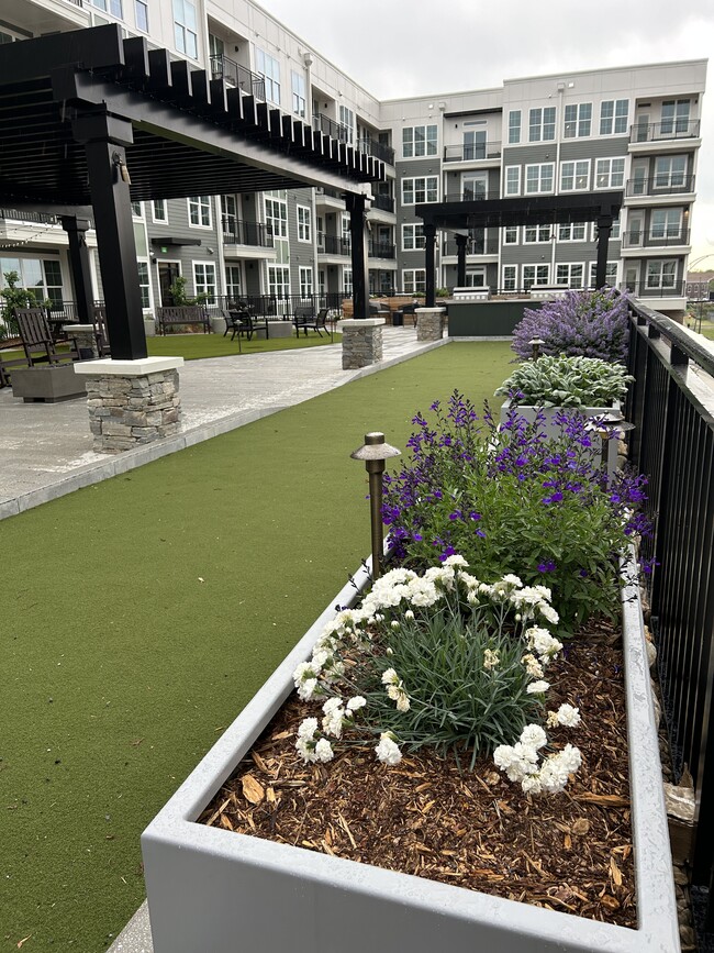 Bocce Ball Court - BellaAge Hickory