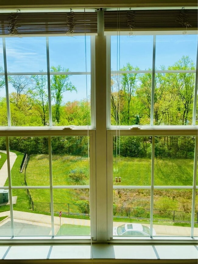 View - 4873 Dane Ridge Cir