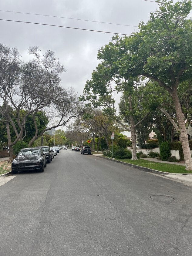 TREE LINED STREET - 709 N Harper Ave