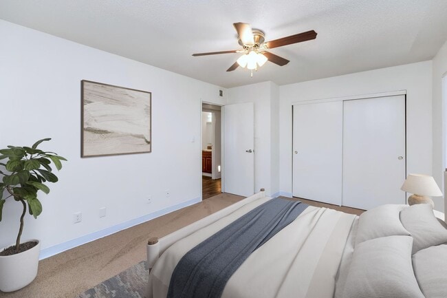 Interior Photo - Sahara and Playa Palms