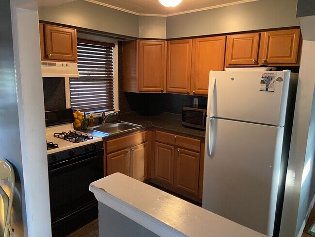 Kitchen - 1129 Center Ave