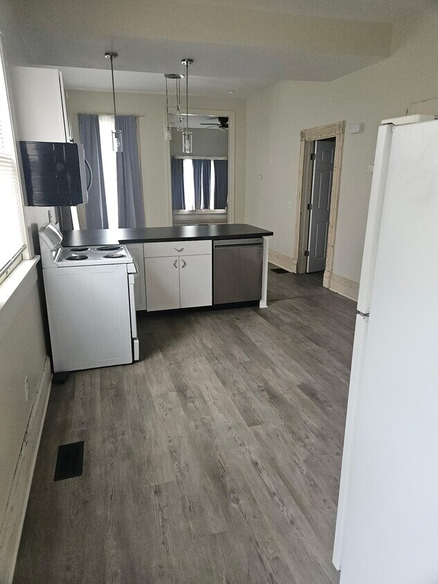 Solid surface counter tops, electric stove and dishwasher - 728 S 15th St