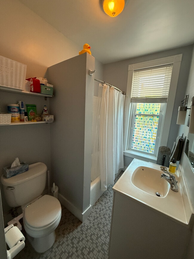 Building Photo - 119 Olive St