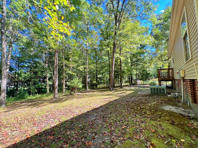 Building Photo - Cape Cod on Large Wooded Lot