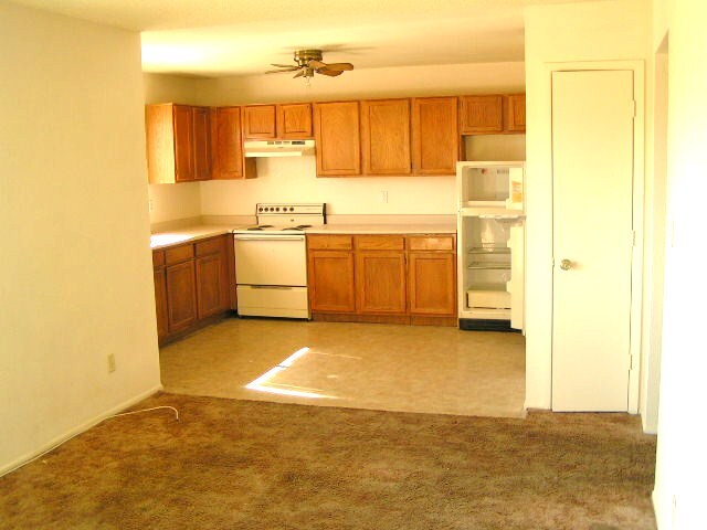 volver a pintar apartamento 3. - 450 Palm Dr
