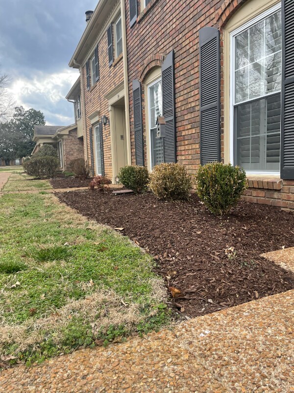 8207 Sawyer Brown Rd Unit b3, Nashville, TN 37221 Condo for Rent in