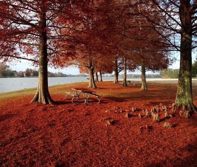 Picturesque University Lake in the fall