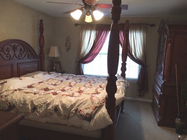 Foto del edificio - 243 Shadybrook Ln