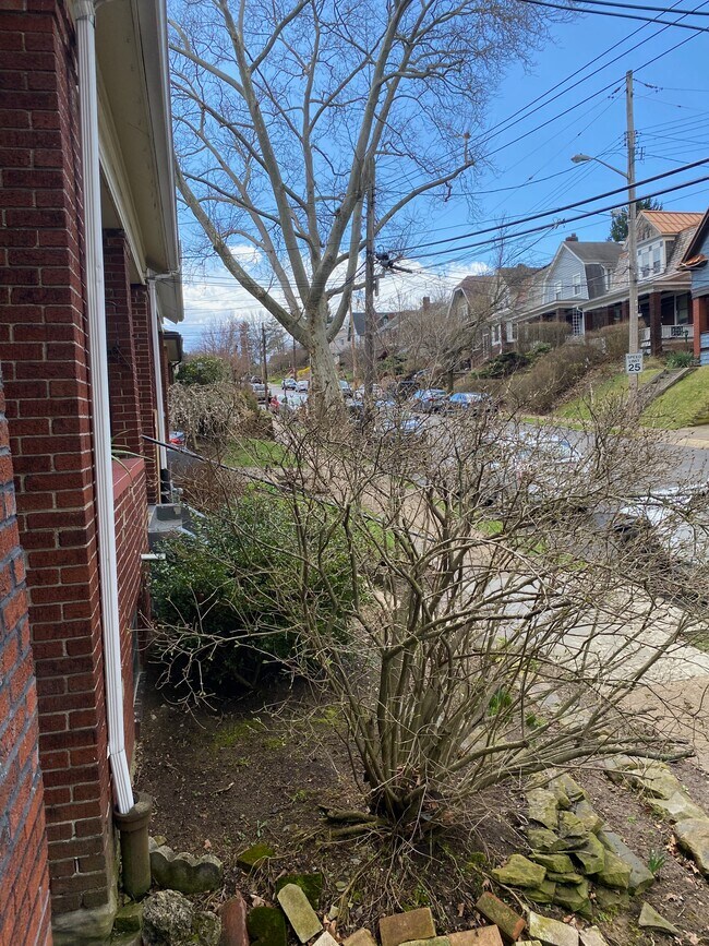 505 Gettysburg St, Pittsburgh, PA 15206 House Rental in Pittsburgh