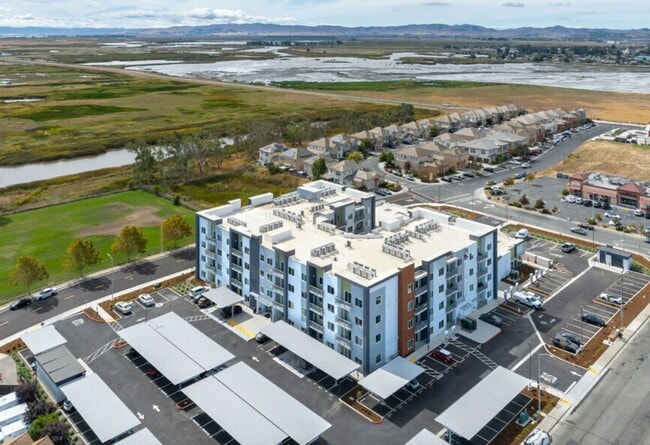 Interior Photo - The Lawler Apartment Homes