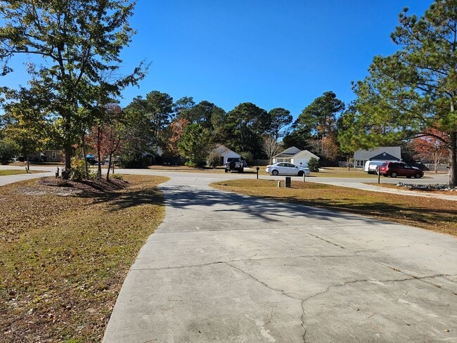 Building Photo - Lovely 3 Bedroom, 2 bath unfurnished home located in Hampstead - Plantation Pointe Community