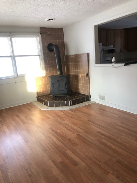 Living Room - 509 Erie St