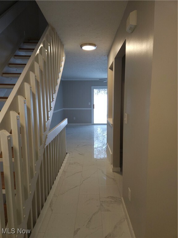 Foto del edificio - 1258 Meadow Run