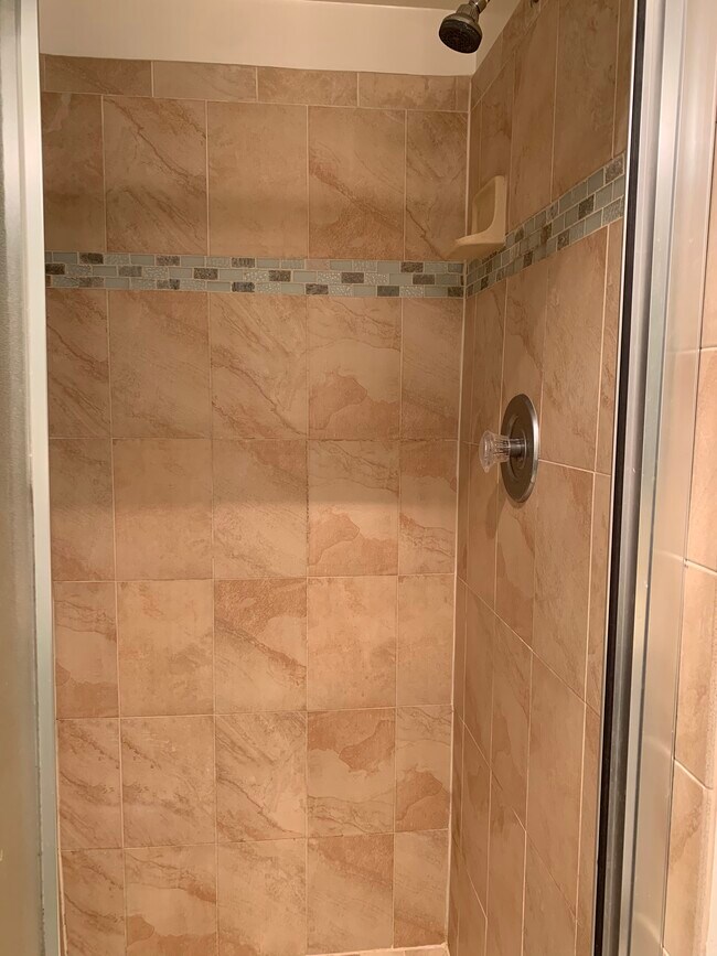 Master bedroom shower - 807 N Howard St