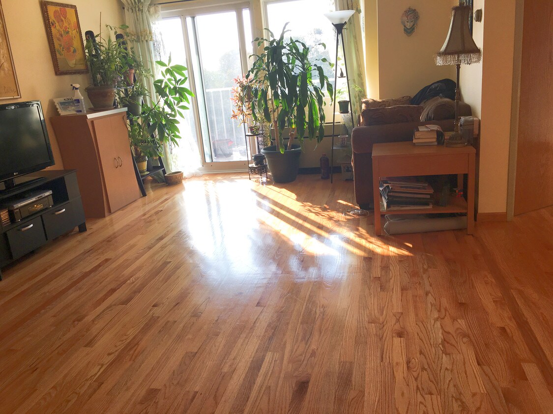 Living Room - 200 Cove Way