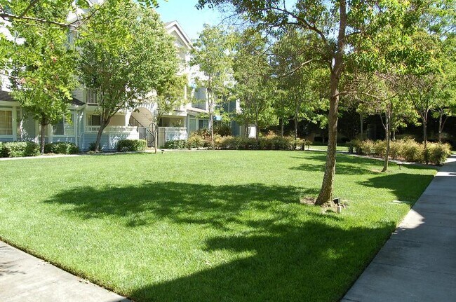 Courtyard - 608 Arcadia Ter